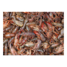 Live Crawfish Invitations