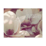 live dream love II postcards