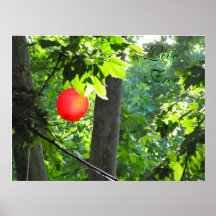 Live Free, Fly High Poster