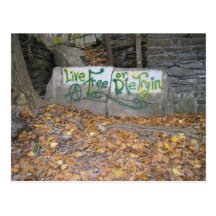 "Live Free or Die Tryin'" Graffiti Postcard