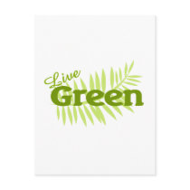 live green fern postcards