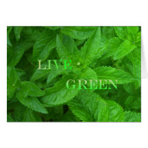 Live Green Greeting Cards