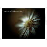 "Live in the moment" Notecard