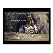 Live in the Moment Postcard