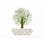Live in the Present Moment Post Card