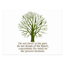 Live in the Present Moment Post Card