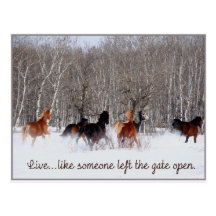 Live Life.....Like someone left the gate open! Postcards