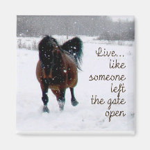 Live Life! Magnet