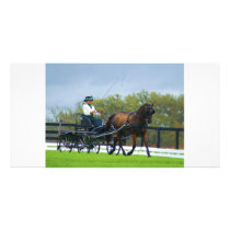 Live Oak CDE, Intermediate Dressage Friday 094 Customized Photo Card