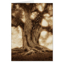 Live Oak - MW1101 Greeting Cards