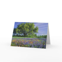 Live Oak & Texas Paintbrush, and Texas
