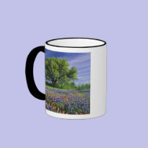 Live Oak & Texas Paintbrush, and Texas mugs
