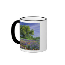 Live Oak & Texas Paintbrush, and Texas Coffee Mug