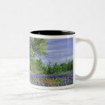 Live Oak & Texas Paintbrush, and Texas Mugs