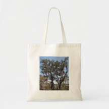 Live oak tree in river banks against the blue sky bag