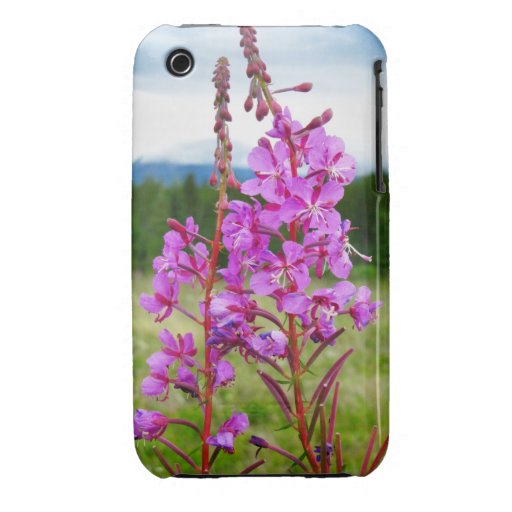 Lively Fireweed iPhone 3 Cases