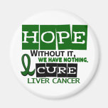 Liver Cancer HOPE 2 Magnets