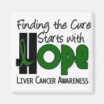 Liver Cancer HOPE 4 Magnet