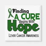 Liver Cancer HOPE 5 Magnet