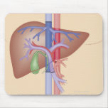 Liver Transplant Procedure Mousepad