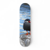 Living Coast Devon Skateboard