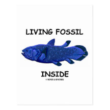Living Fossil Inside (Coelacanth) Post Card