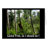 "Living Free, as I should be !"  blank card