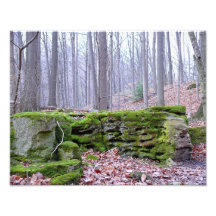 Living Rocks, 11 x 14 Print Photo Art