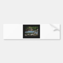 Living Waters Bumper Sticker