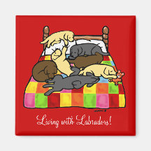 Living with Labradors Cartoon Magnets
