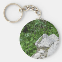 Lizard Basking In The Sun Keychains