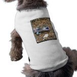 Lizard_Blue_Tongue_9x12 Pet T-shirt