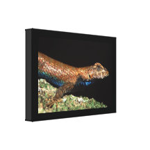 lizard canvas print