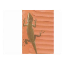 Lizard Friend Post Cards