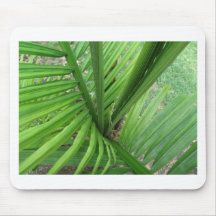 Lizard Land Mouse Pad