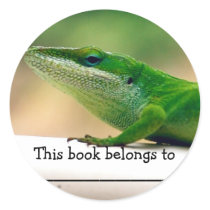 Lizard Lover Anole Book Sticker