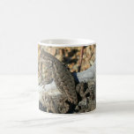 Lizard Morphing Coffee Mug