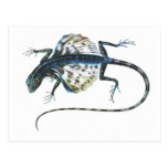 Lizard Postcards