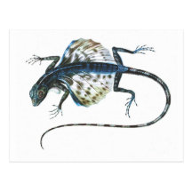 Lizard Postcards