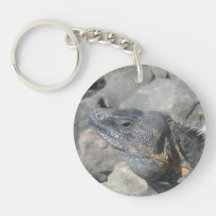 Lizard Rock Keychain