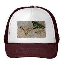Lizards Mating Trucker Hat