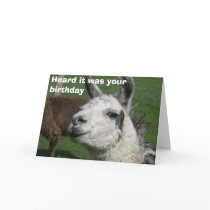 Llama birthday card