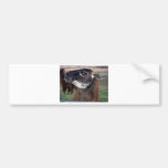 llama bumper sticker