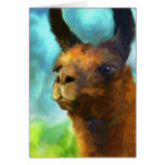 Llama Card