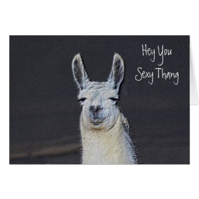 Llama Birthday Card