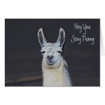 Llama Face Digital Art Humourous Birthday Card