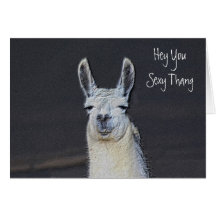 Sexy Birthday Cards, Sexy Birthday Greeting And Note Ca