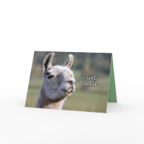 Llama Get Well |Get Well Soon Llama Card
