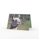 Llama Get Well |Get Well Soon Llama cards