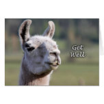 Llama Get Well |Get Well Soon Llama Card